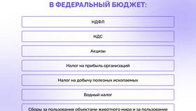Чем отличаются федеральные, региональные и местные налоги в Райвал Гуш