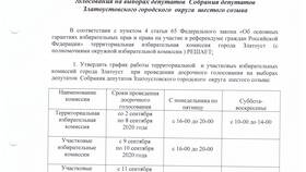 Чем занимается территориальная избирательная комиссия в Райвал Гуш