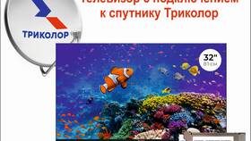 Что лучше: Триколор или интернет-телевидение в Райвал Гуш