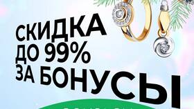 Что можно купить за бонусы Сбербанка в Райвал Гуш