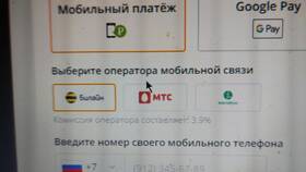 Что можно оплатить через Tele2 в Райвал Гуш
