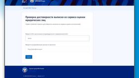 Что такое налоговая проверка юридического лица в Райвал Гуш