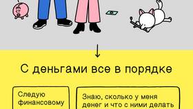Как эффективно использовать финансы в Райвал Гуш