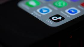 Как написать в службу поддержки TikTok в Райвал Гуш
