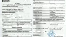 Как оформить ИП: пошаговая инструкция в Райвал Гуш