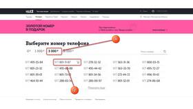 Как перевести деньги с Теле2 на другие сервисы в Райвал Гуш