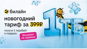 Как подключить безлимитный интернет на Билайн в Райвал Гуш