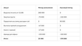 Как правильно фиксировать доходы: методы учета и документального оформления в Райвал Гуш