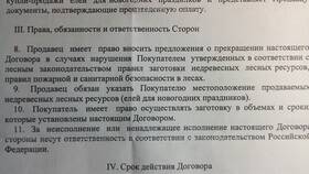 Как правильно писать сумму прописью в документах в Райвал Гуш