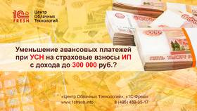 Как при УСН учитываются займы в Райвал Гуш