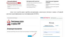 Как проверить заявление, поданное в МФЦ в Райвал Гуш