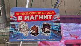 Как сделать заказ в приложении Магнит в Райвал Гуш