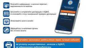 Как войти в личный кабинет ФНС в Райвал Гуш