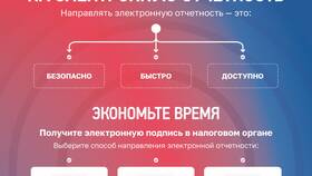 Переплата признана единым налоговым платежом: что это значит в Райвал Гуш