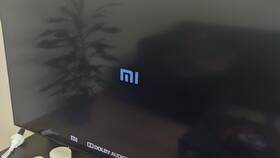 Почему не включается телевизор Xiaomi с пульта в Райвал Гуш