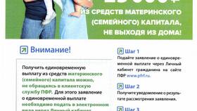 Выписка из ПФР: что делать и как получить в Райвал Гуш