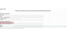 Зачем работодателю выписка из СФР в Райвал Гуш
