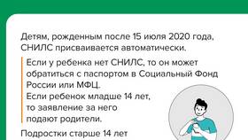 Задвоился СНИЛС: что делать в Райвал Гуш