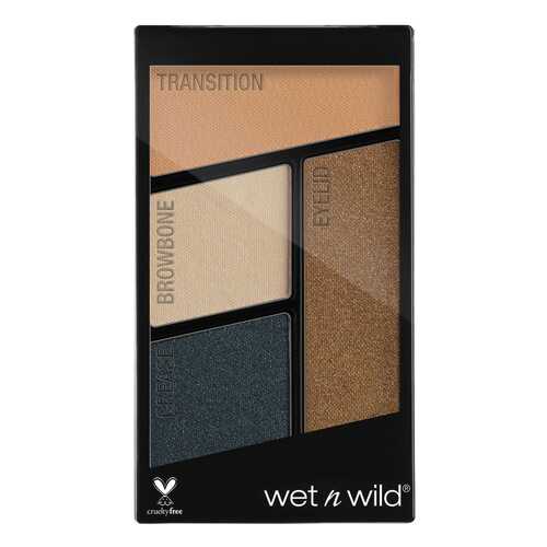 Тени для век Wet n Wild Color Icon Eyeshadow Quad E343b Hooked On Vinyl 4,5 г в Рив Гош